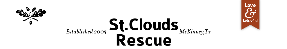 stcloudsrescue.org logo