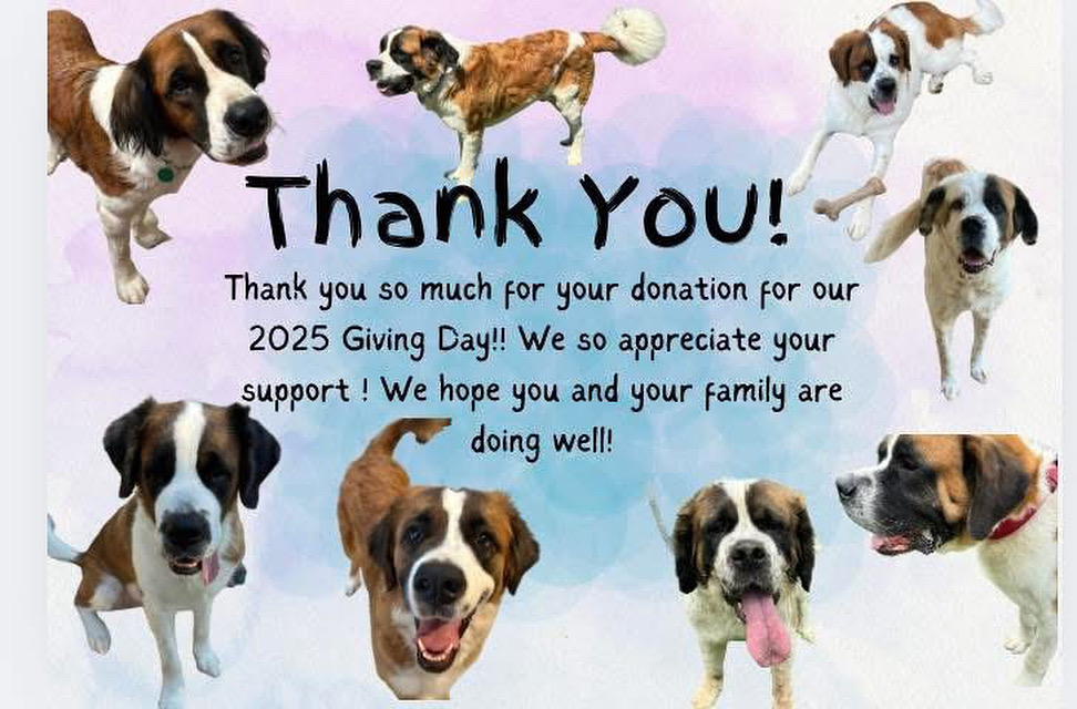 Thank you SO much!