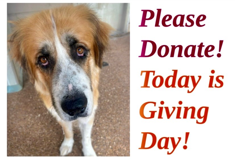Giving Day is TODAY!  (Click on the picture)